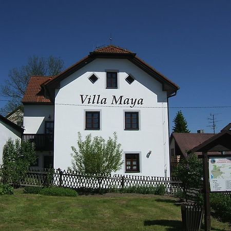 Villa Maya Horní Planá Eksteriør billede