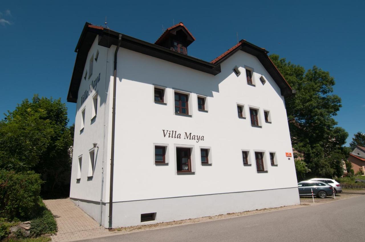 Villa Maya Horní Planá Eksteriør billede